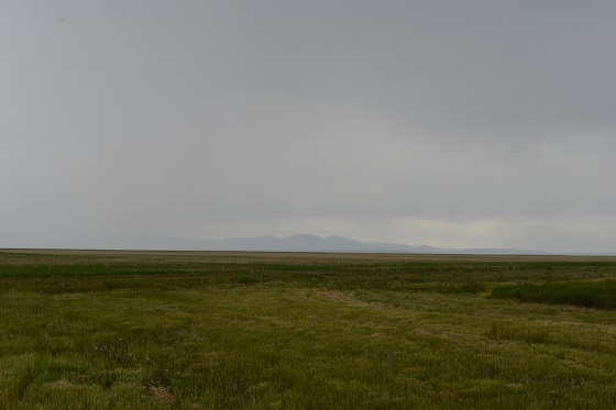 Landscape Arrow Creek, MT July 2019