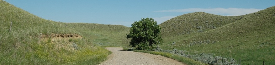 Copyright, 2011 Road to Virgelle, MT