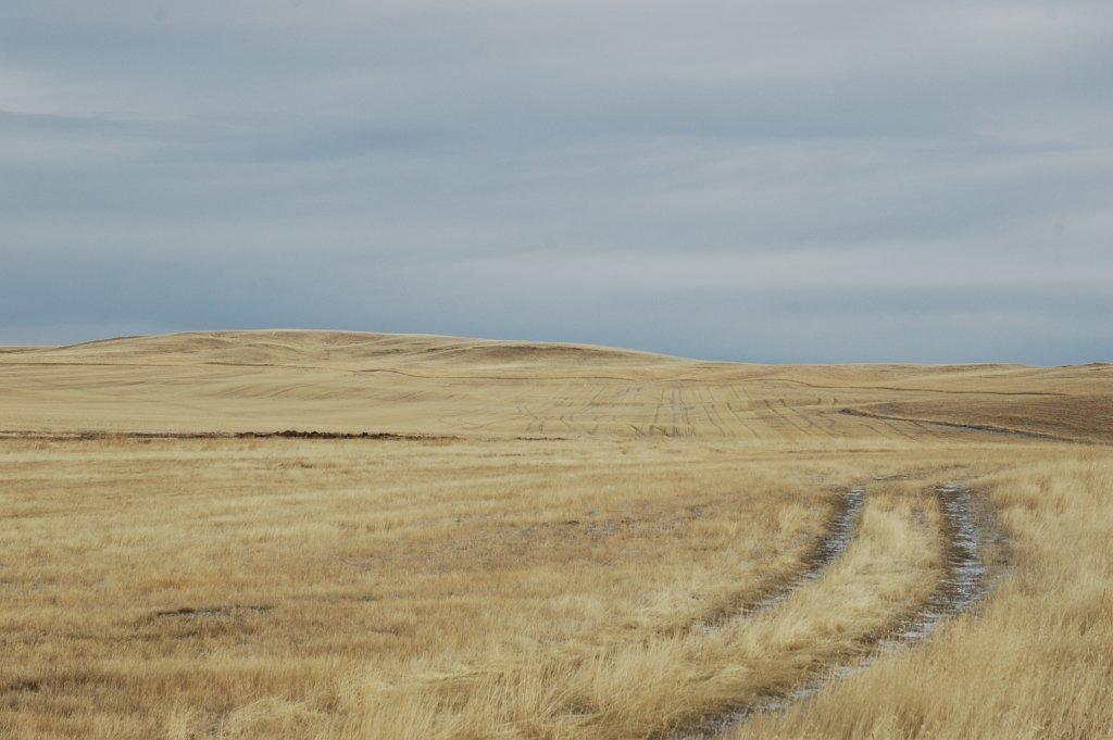 Copyright, 2011 Road to Judith Landing, MT &lt3^pi^infinity