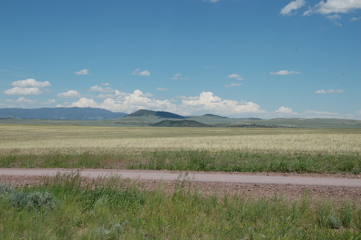 Copyright, 2010 Road South to Sixteen, MT