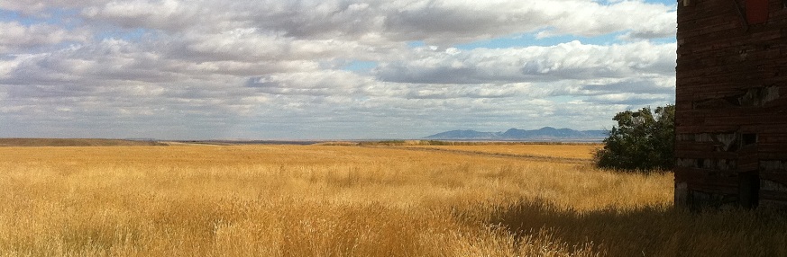Copyright, 2011 Montana Farm US 87N, MT
